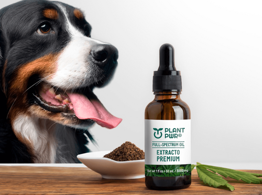 PLANT PWR® GOTAS PREMIUM PARA MASCOTAS